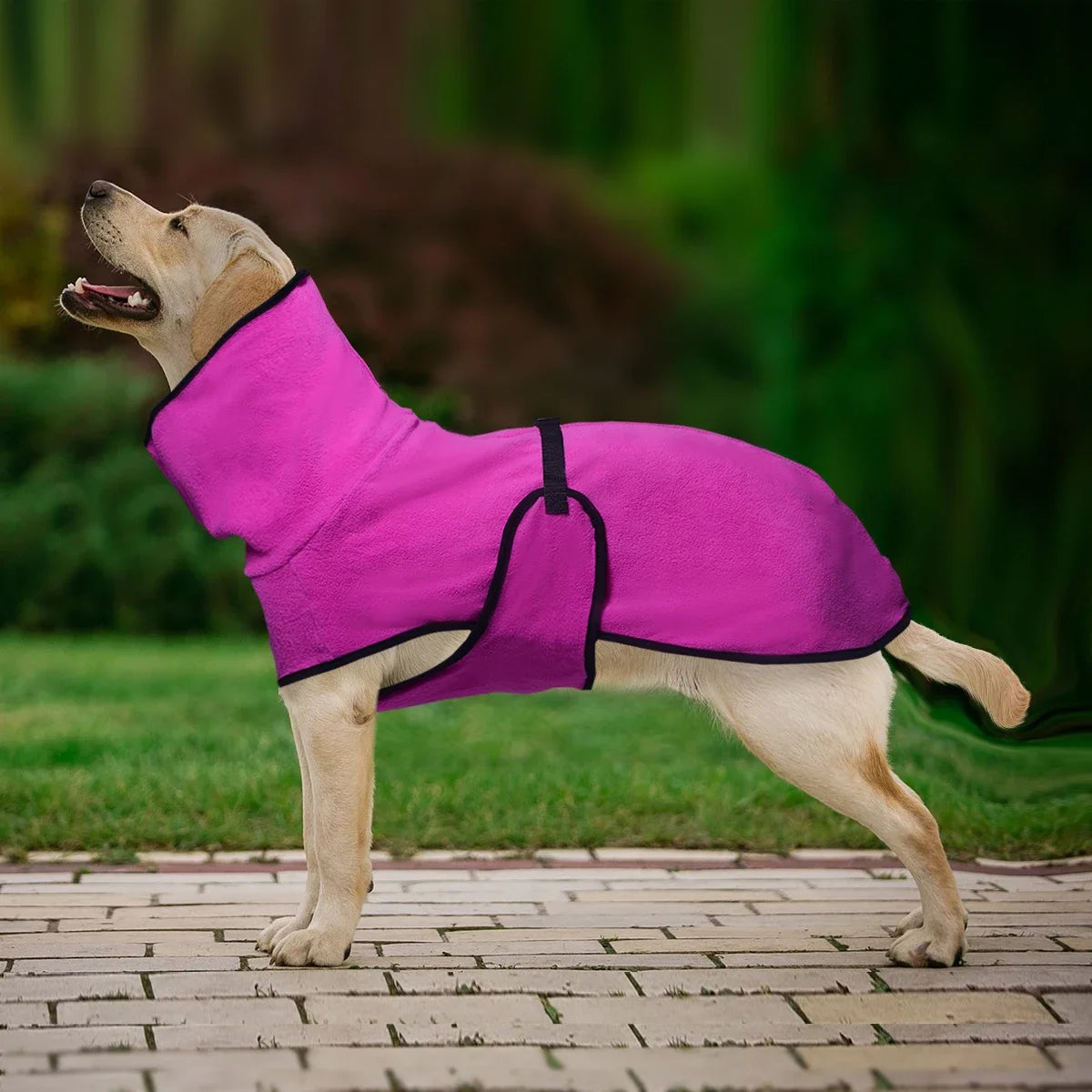Winter Pet Dog Clothes Warm Big Dog Coat Puppy Clothing Pet Vest Jacket For Small Medium Large Dogs Golden Retriever