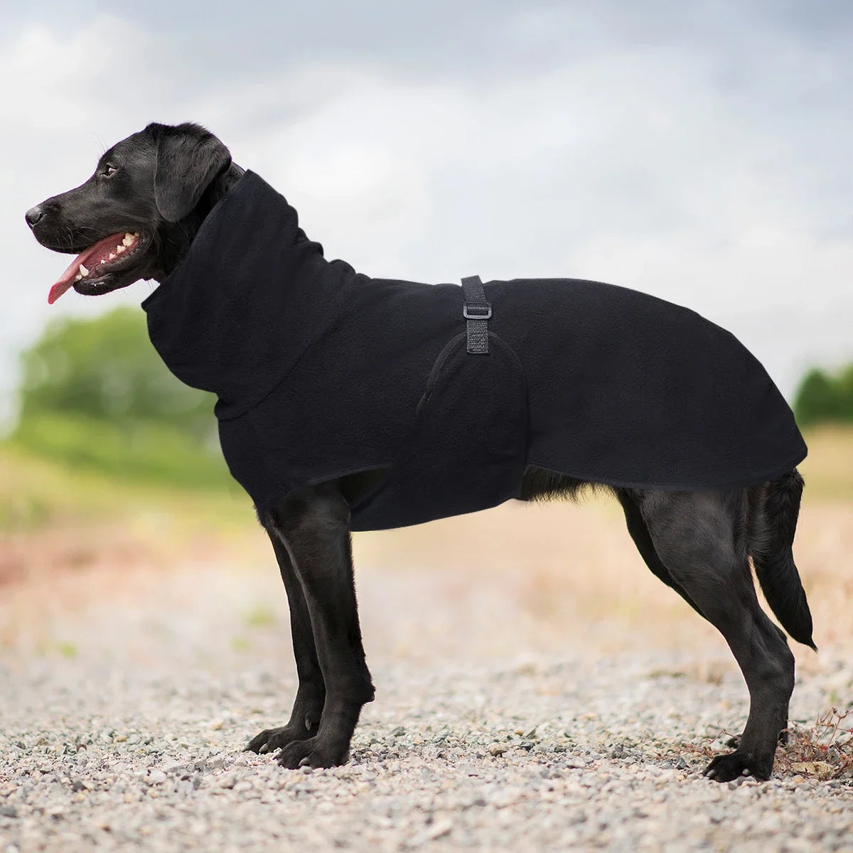 Winter Pet Dog Clothes Warm Big Dog Coat Puppy Clothing Pet Vest Jacket For Small Medium Large Dogs Golden Retriever