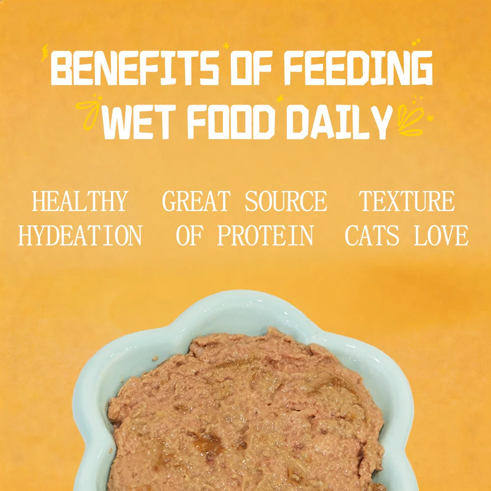 Petfull Cat Canned for Cat and Dog Pet Food 170gx24Cans Tuna Beef Salmon Chicken Flaver Cat Food Cans